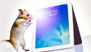 Hamster och Apple iPad Air: En perfekt kombination för tekniknybörjare